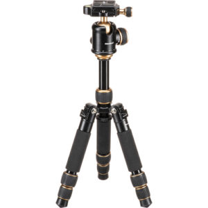 CVM-16