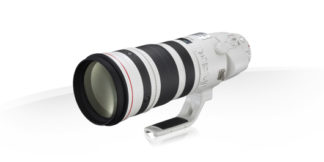 Canon LENS EF200-400MM F4L IS USM + EXT1.4X