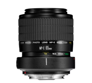Canon LENS MP-E65MM F2.8 MACRO