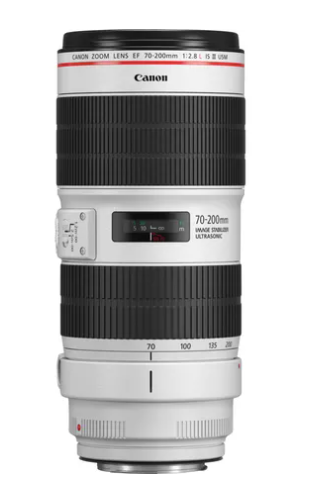 Canon EF70-200 f/2.8LIS III USM